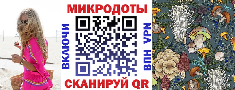 Псилоцибиновые грибы мицелий  ОМГ ОМГ как войти  площадка официальный сайт  Зеленогорск 